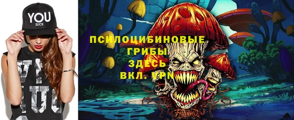 герыч Арсеньев