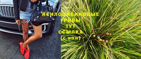 герыч Арсеньев