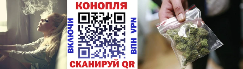 Канабис конопля  Афипский 